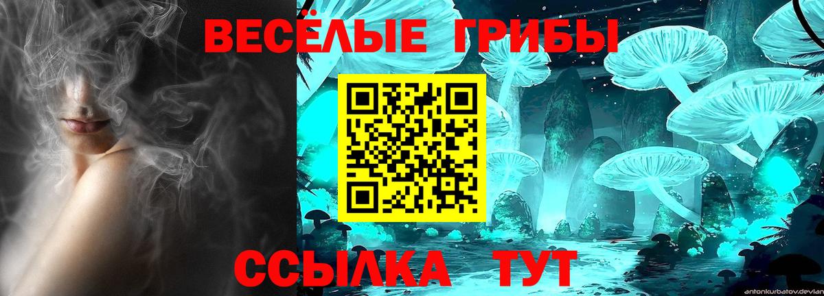 Псилоцибиновые грибы Cubensis  Вход с VPN  закладки  Асбест 