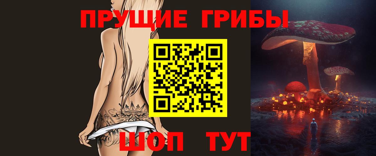 Галлюциногенные грибы Psilocybine cubensis Асбест